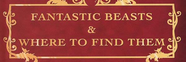 fantastic-beasts-and-where-to-find-them-slice