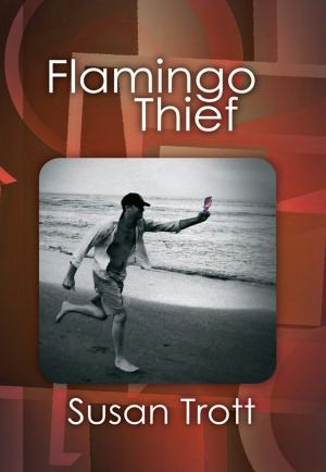 will-ferrell-flamingo-thief