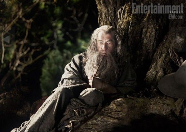 ian-mckellan-the-hobbit-movie-image