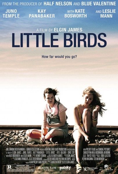 little birds poster