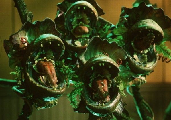 little shop of horrors blu ray