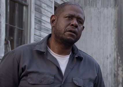 repentance-forest-whitaker