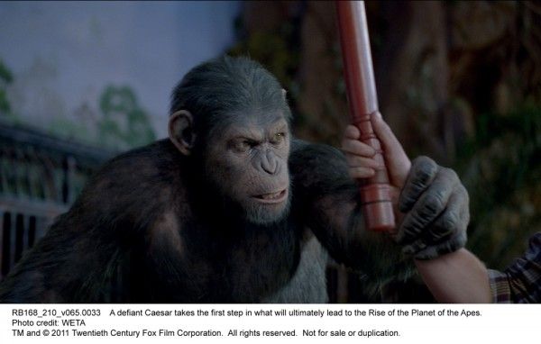 rise-of-the-planet-of-the-apes-movie-image-03