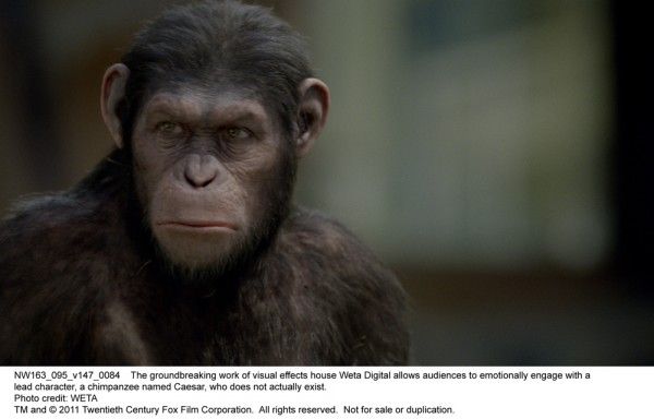 rise-of-the-planet-of-the-apes-movie-image-04