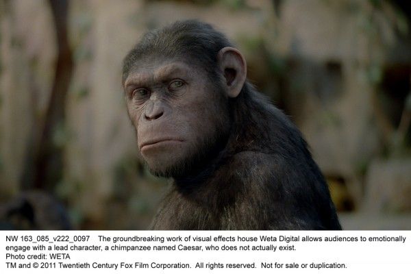 rise-of-the-planet-of-the-apes-movie-image-05