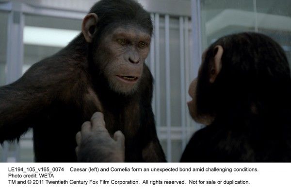 rise-of-the-planet-of-the-apes-movie-image-06