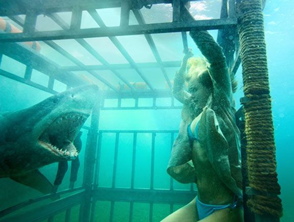 Sara Paxton Nipple Peeking Out of Bra – Shark Night 3D (0:05