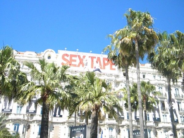 sex-tape-poster-cannes