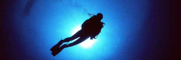 Shadow Divers: The True Adventure of Two Americans Who Risked