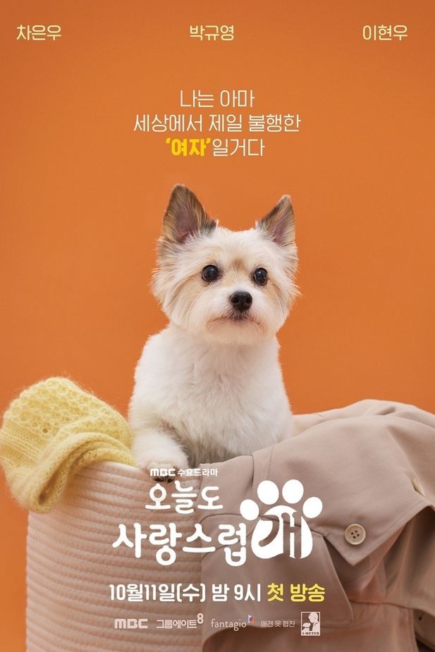 A Good Day To Be A Dog TV Show Poster