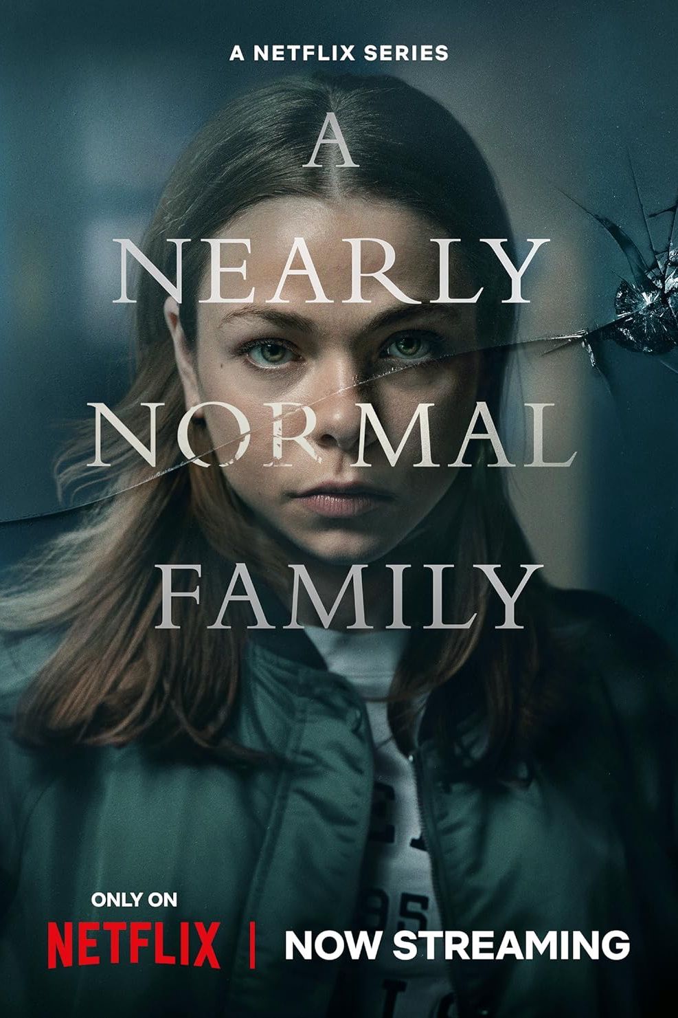 A Nearly Normal Family Netflix Poster