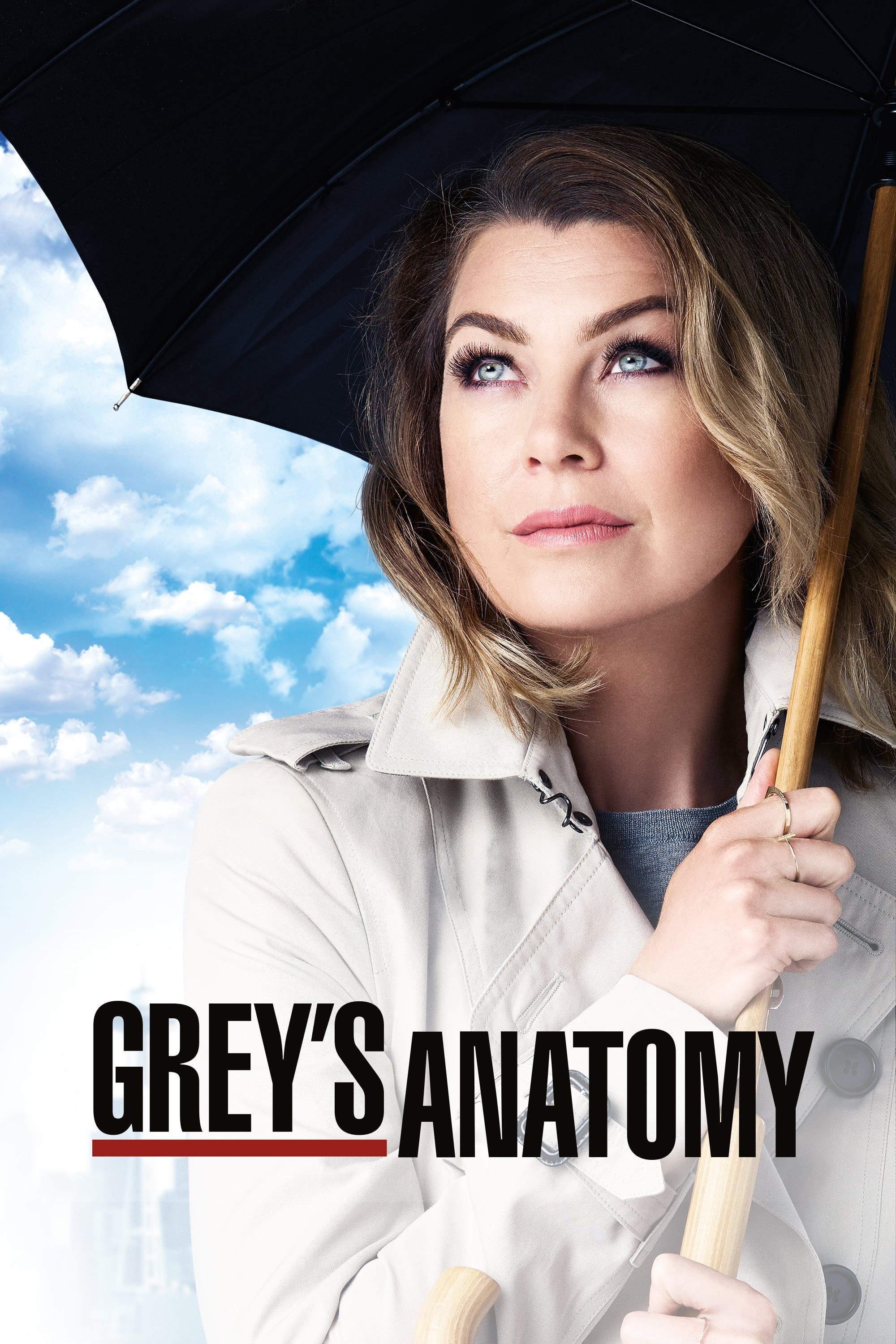 Cartel de Anatomía de Grey