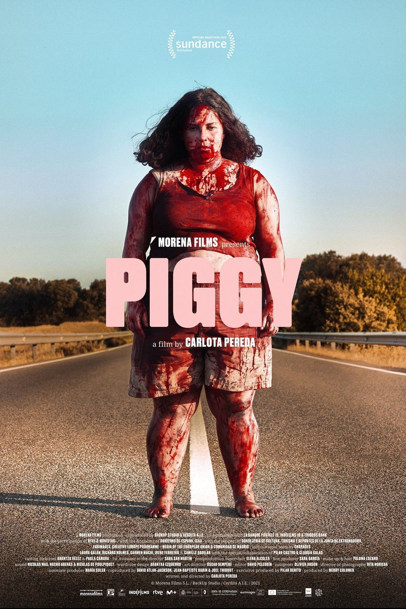 cartel de la película cerdito