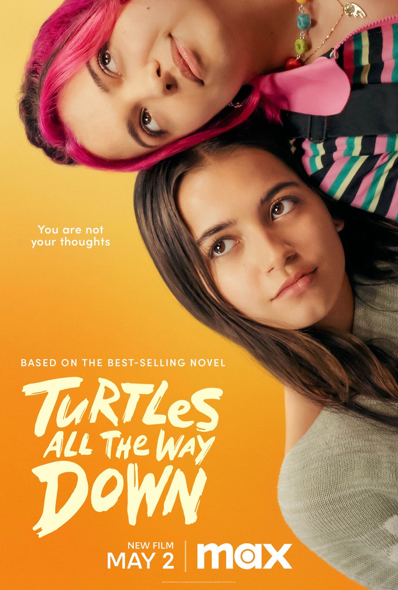 turtles all the way down poster