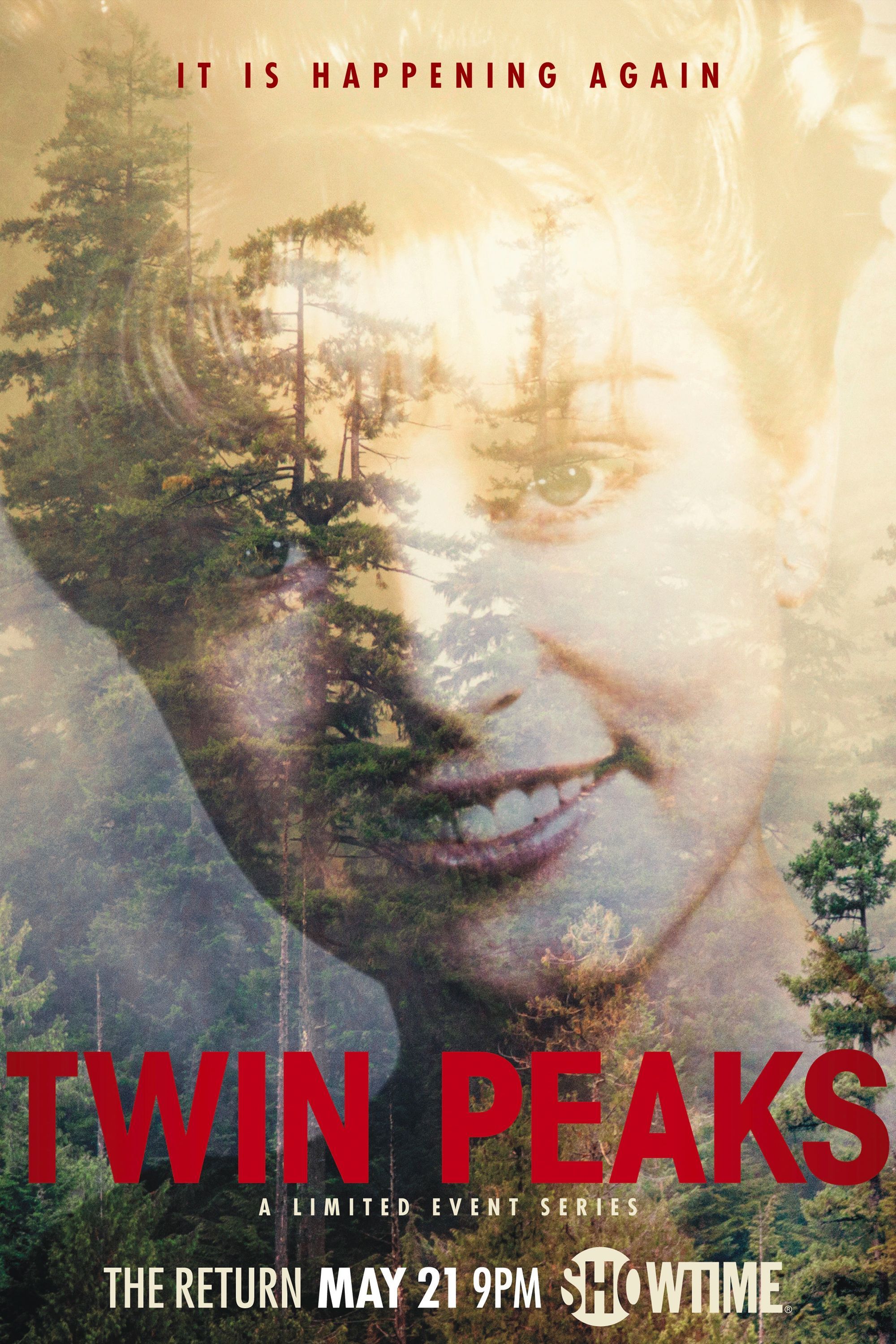 Póster de Twin Peaks