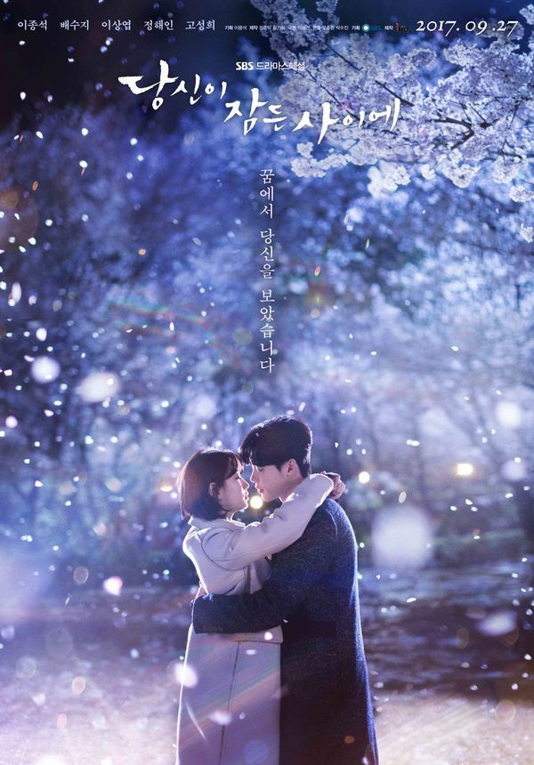 While You Were Sleeping 2017 TV Show Poster