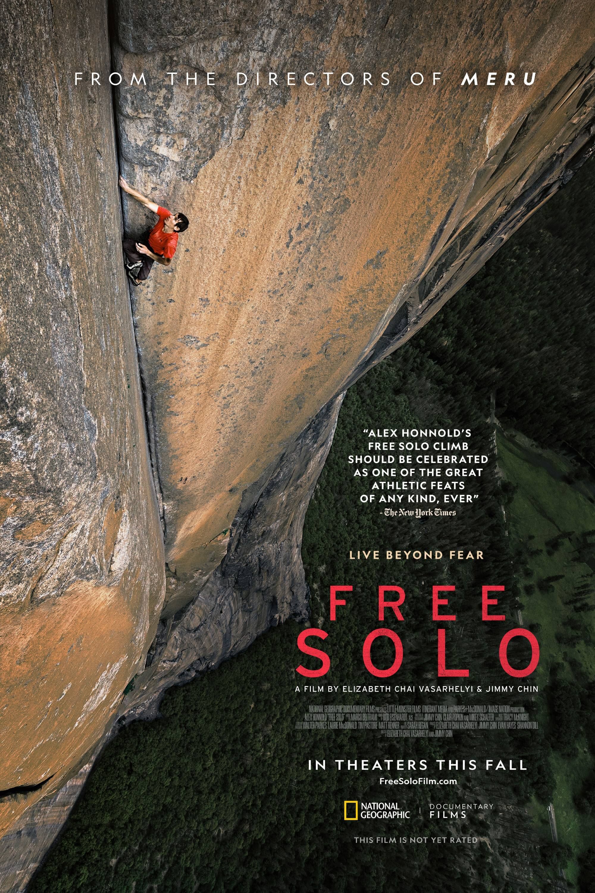 free-solo-poster.jpg