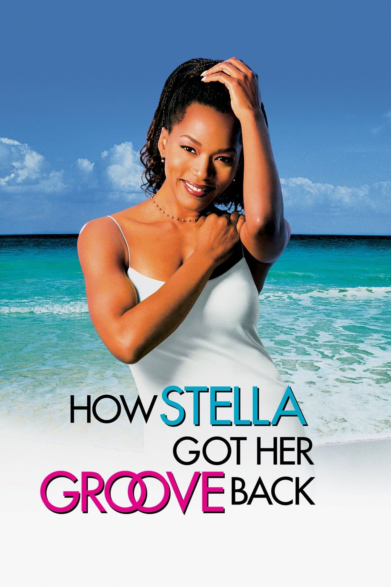 how-stella-got-her-groove-back_movie_poster.jpeg