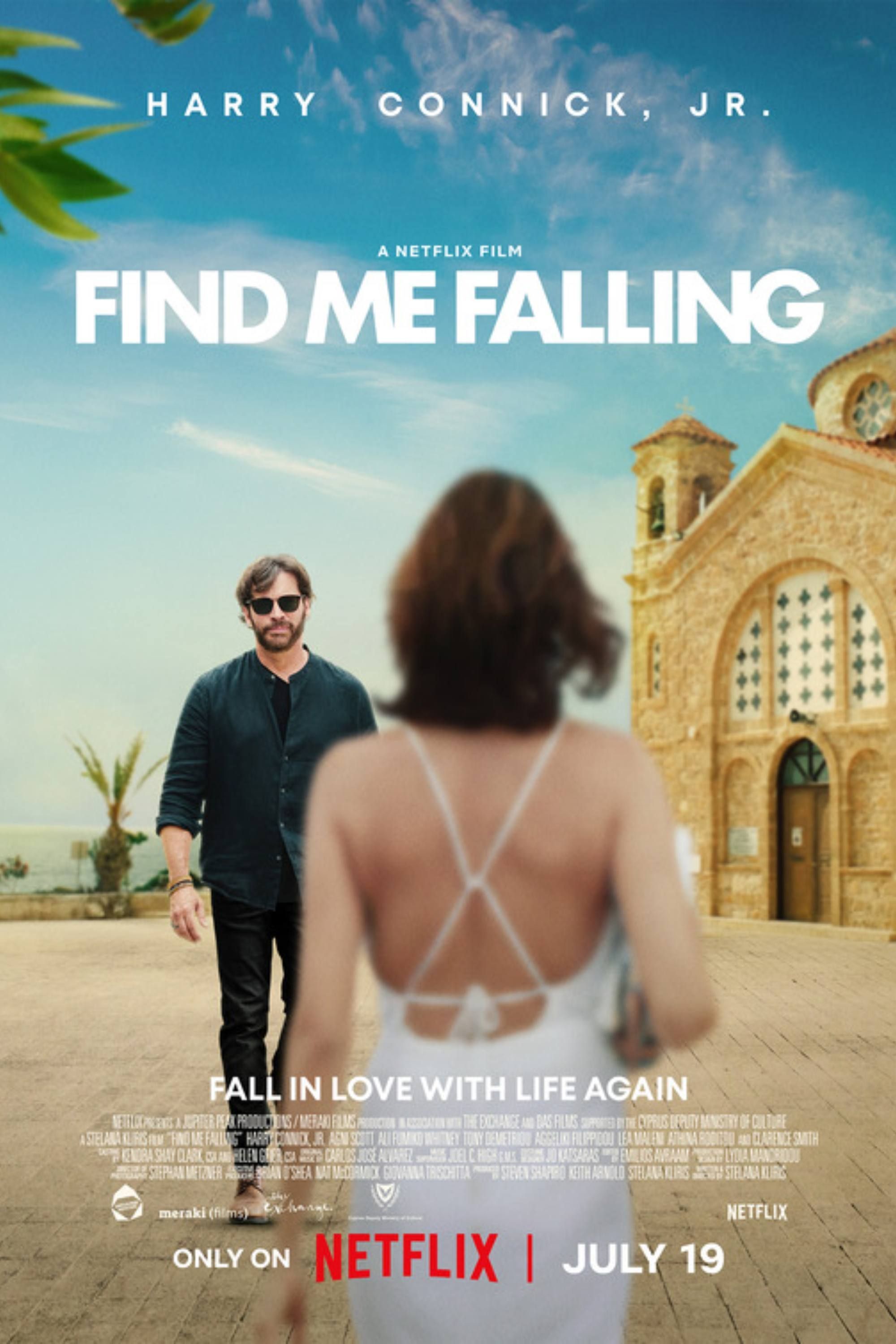 find-me-falling-2024-poster.jpg