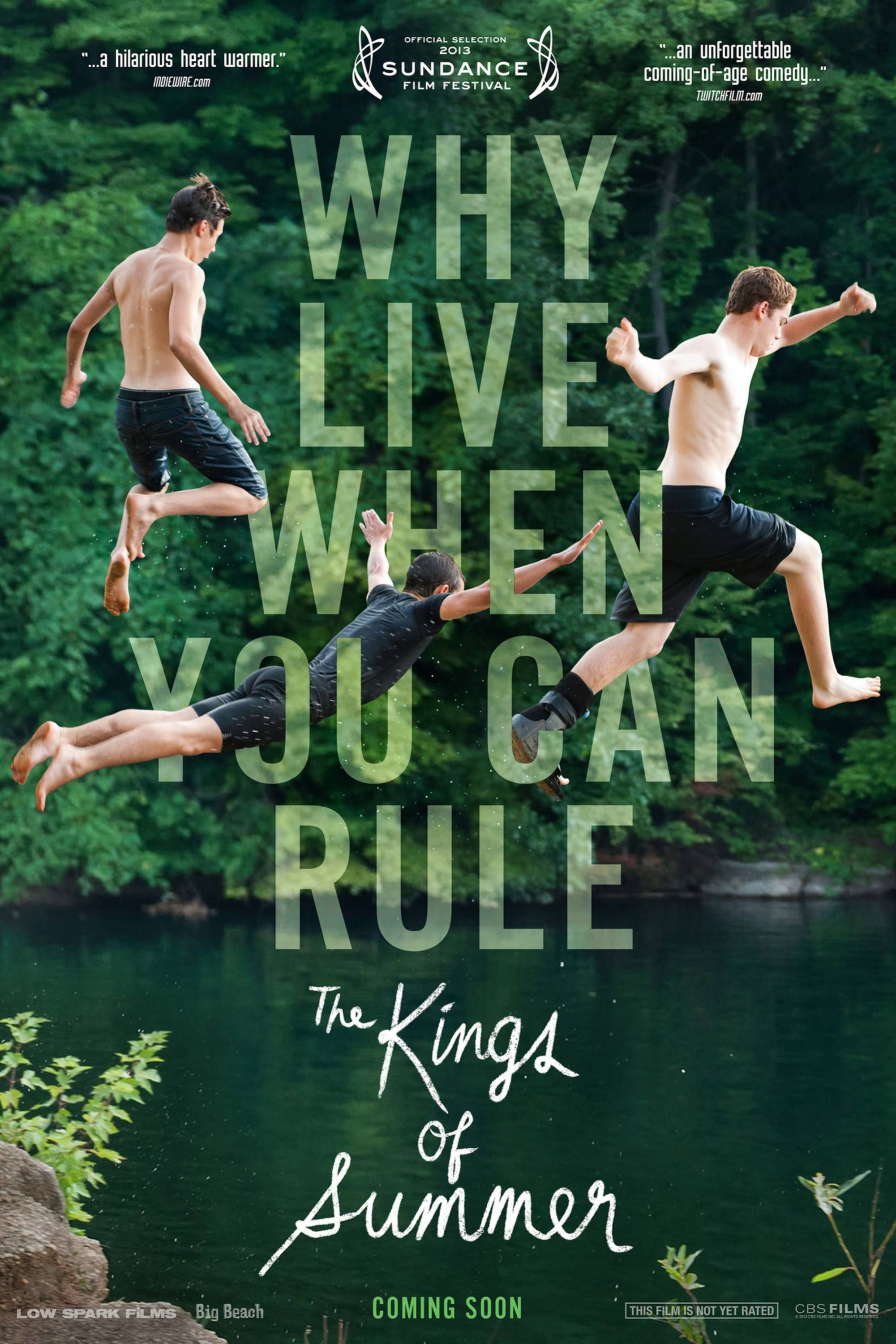the-kings-of-summer-poster.jpg