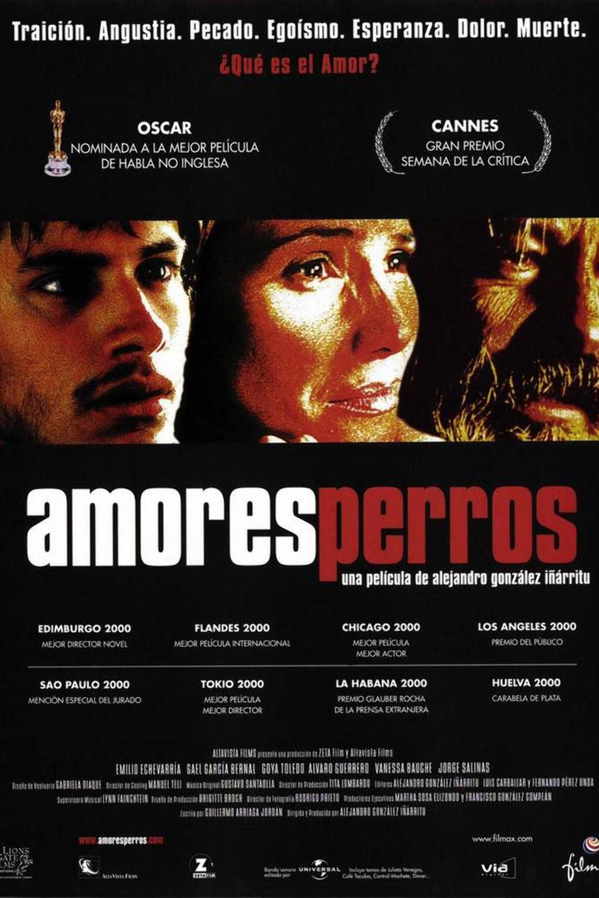 amores-perros-poster.jpg