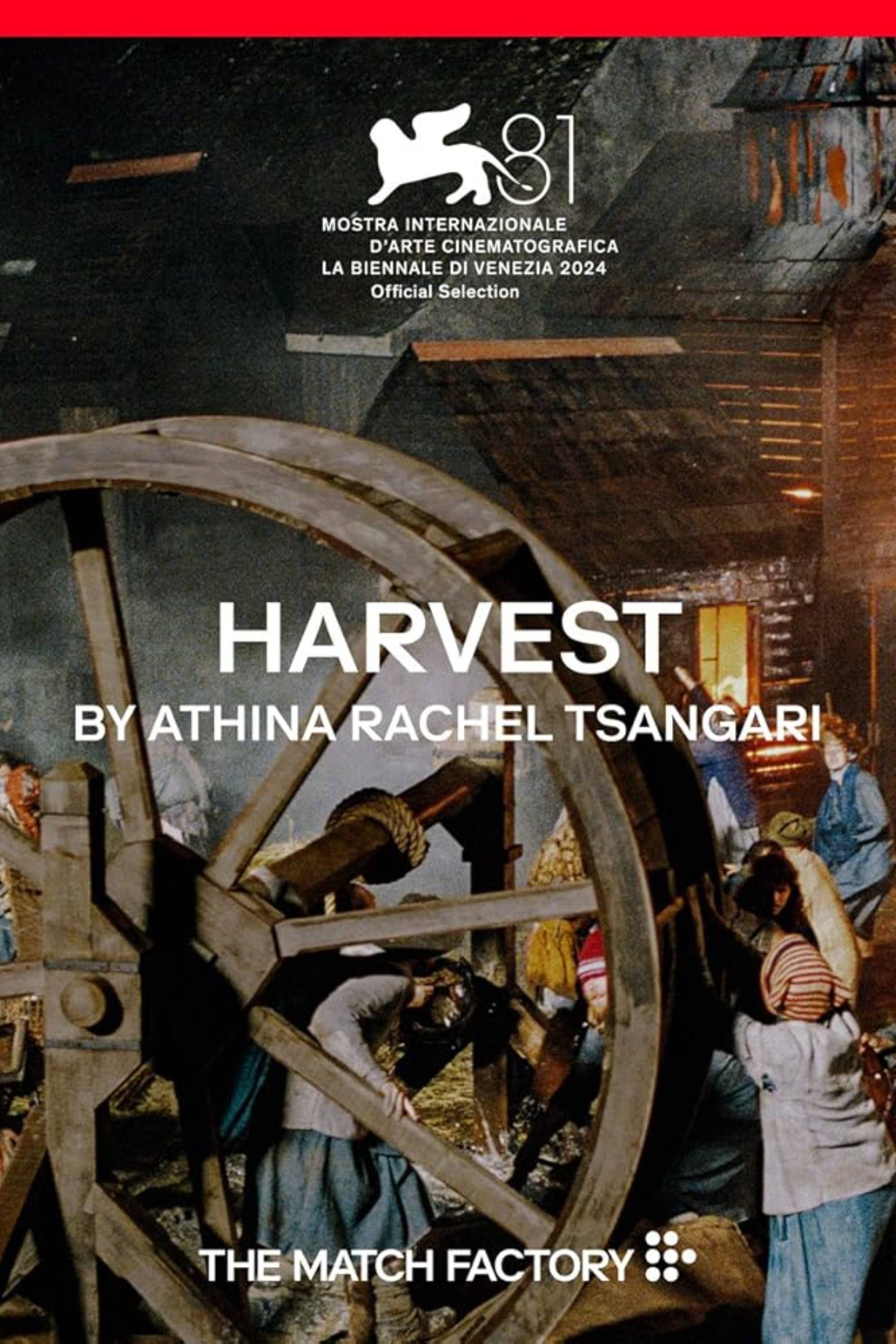 harvest-2024-poster.jpg