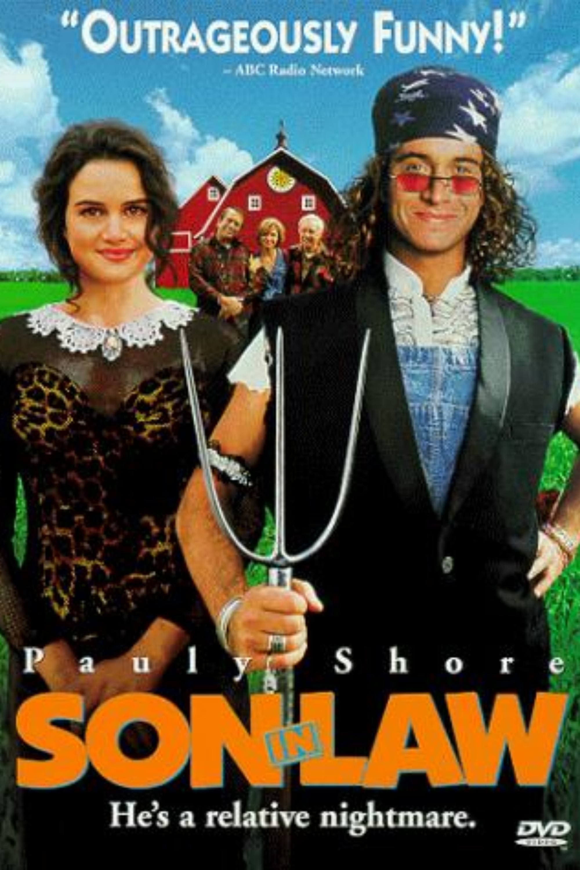 son-in-law-poster.jpg