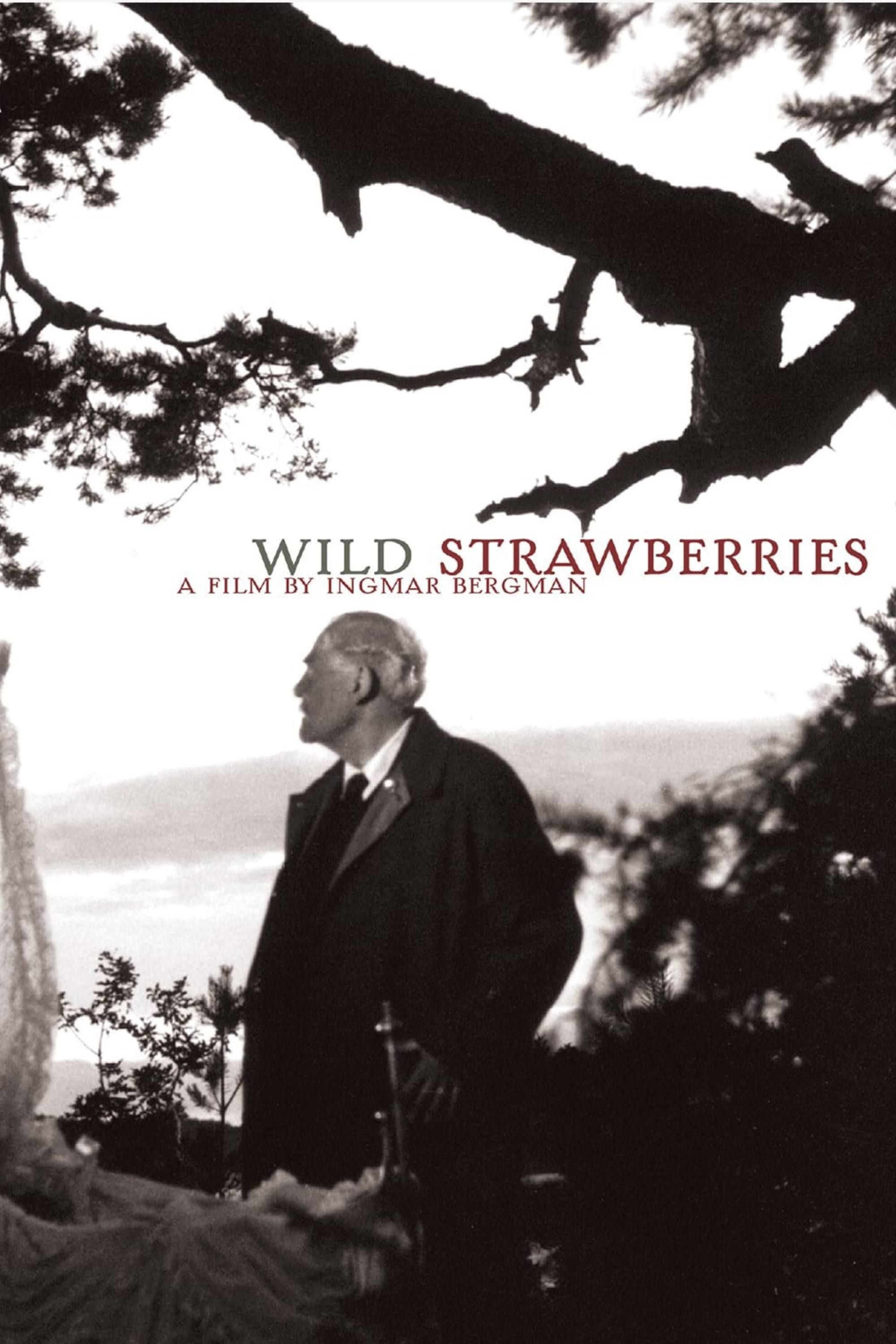 wild-strawberries-1957-poster.jpg