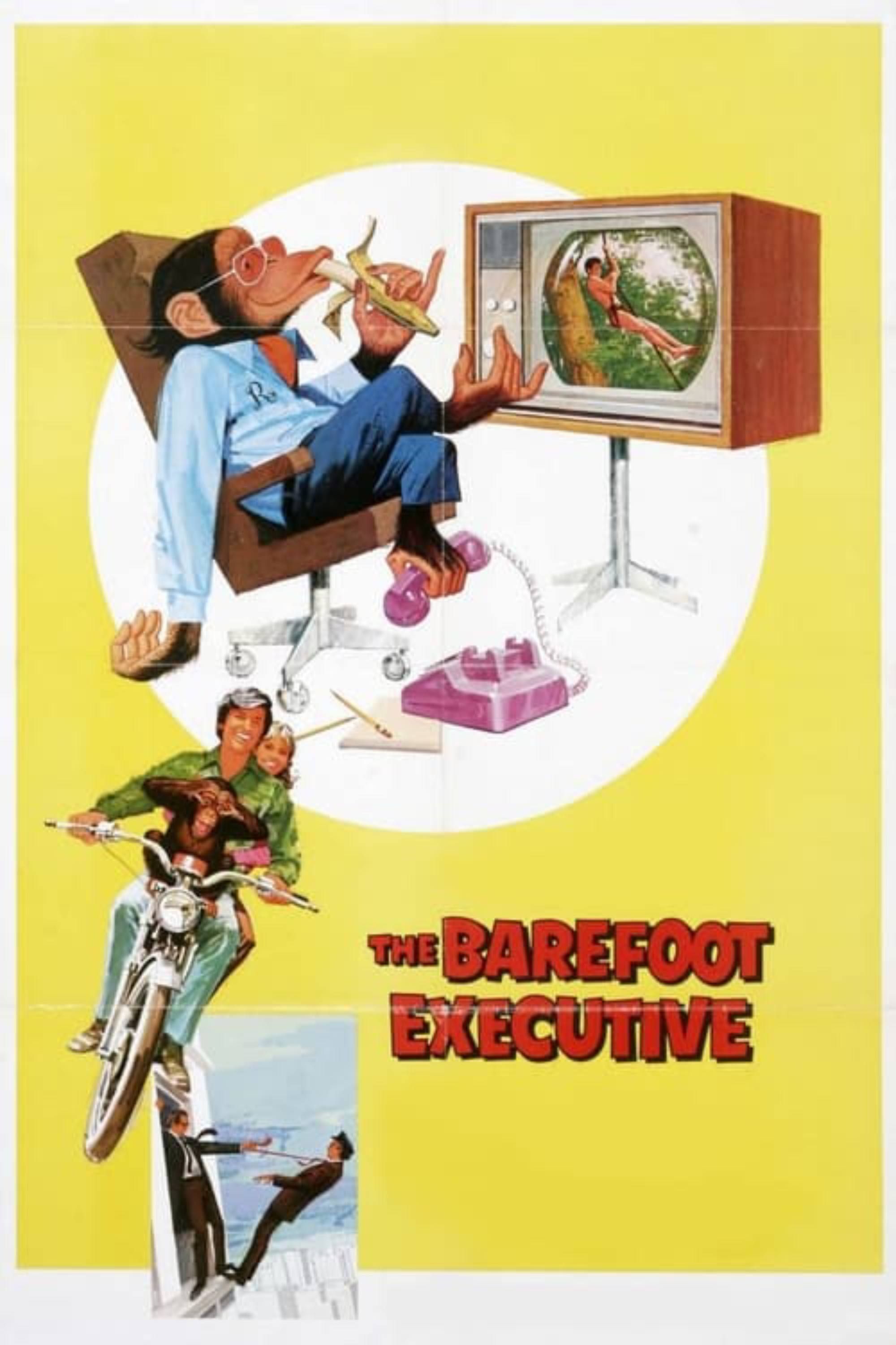 the-barefoot-executive-1971-poster.jpg