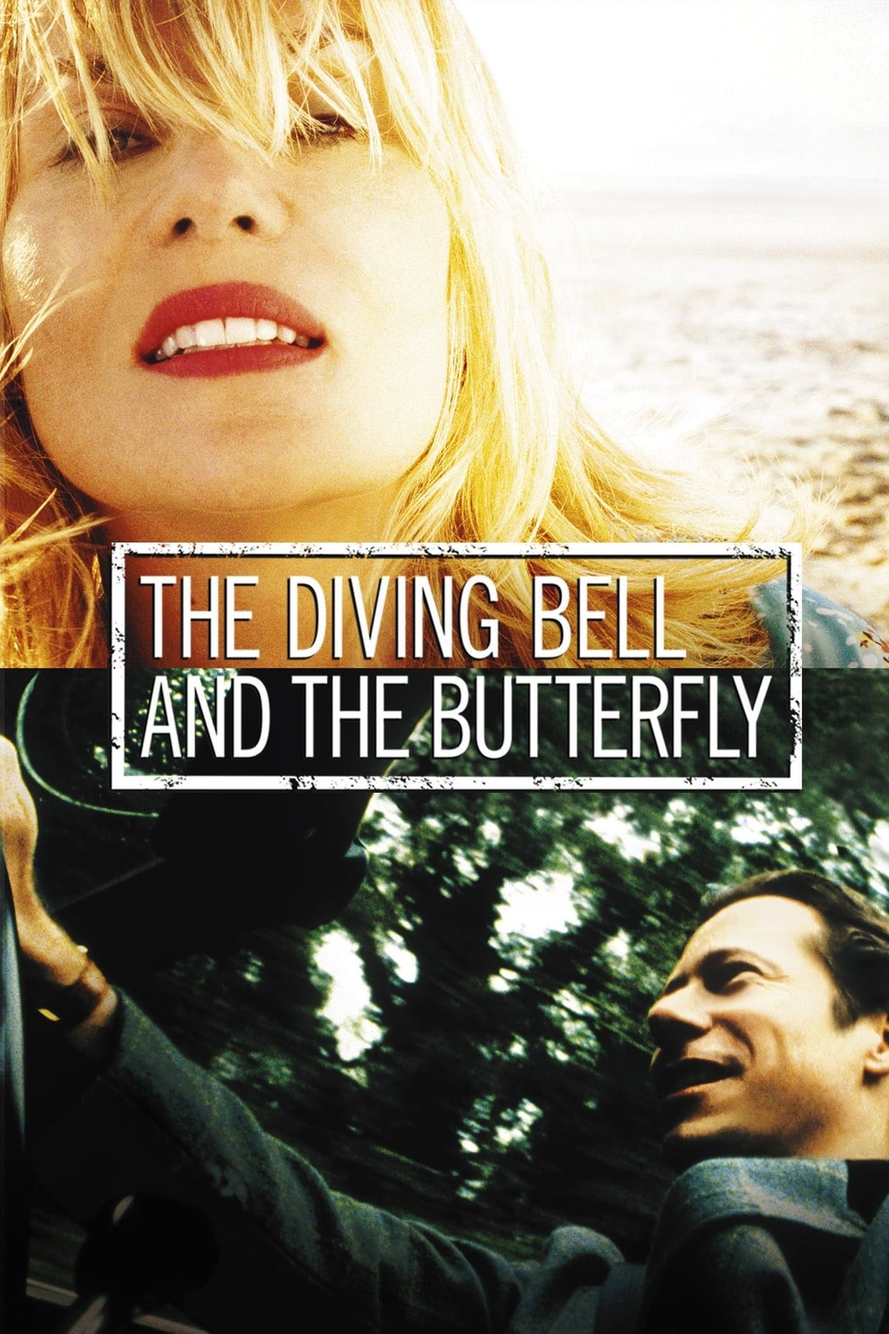 the-diving-bell-and-the-butterfly-poster.jpg