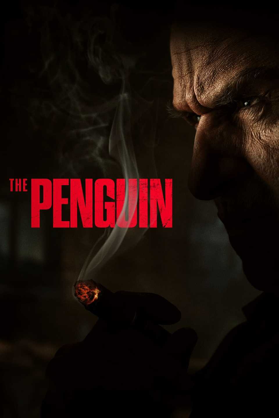 We Never Shut The Door HBO Executive Gives Uncertain The Penguin we-never-shut-the-door-hbo-executive-gives-uncertain-the-penguin