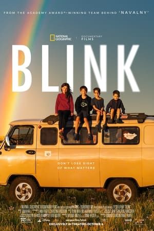 blink-2024-film-poster.jpg