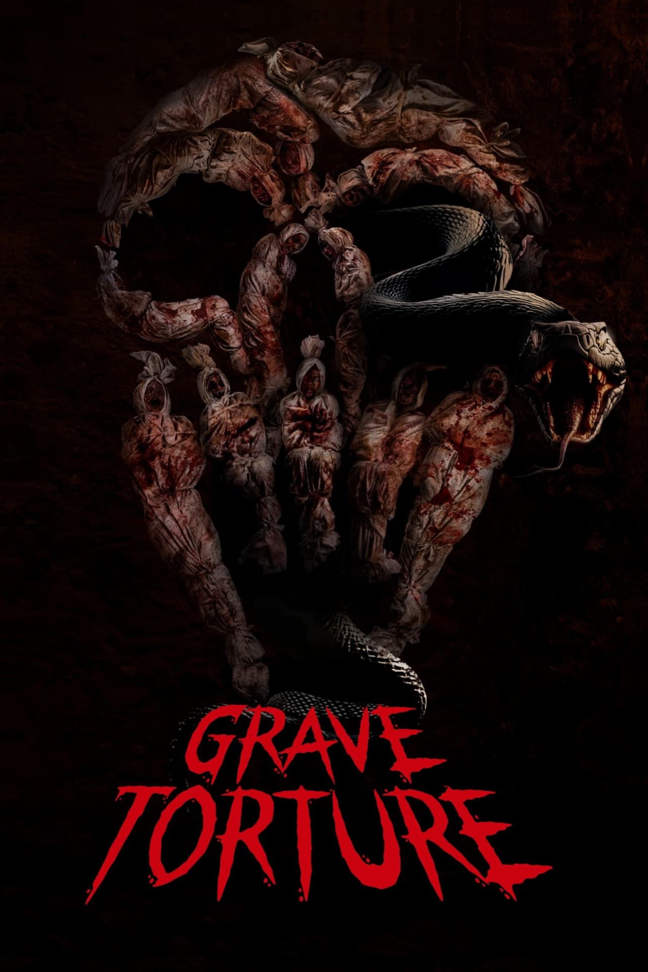 grave-torture-2024-poster.jpg