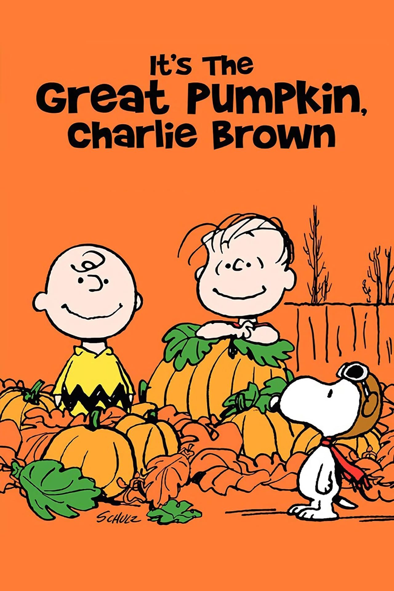 it-s-the-great-pumpkin-charlie-brown-poster.jpg