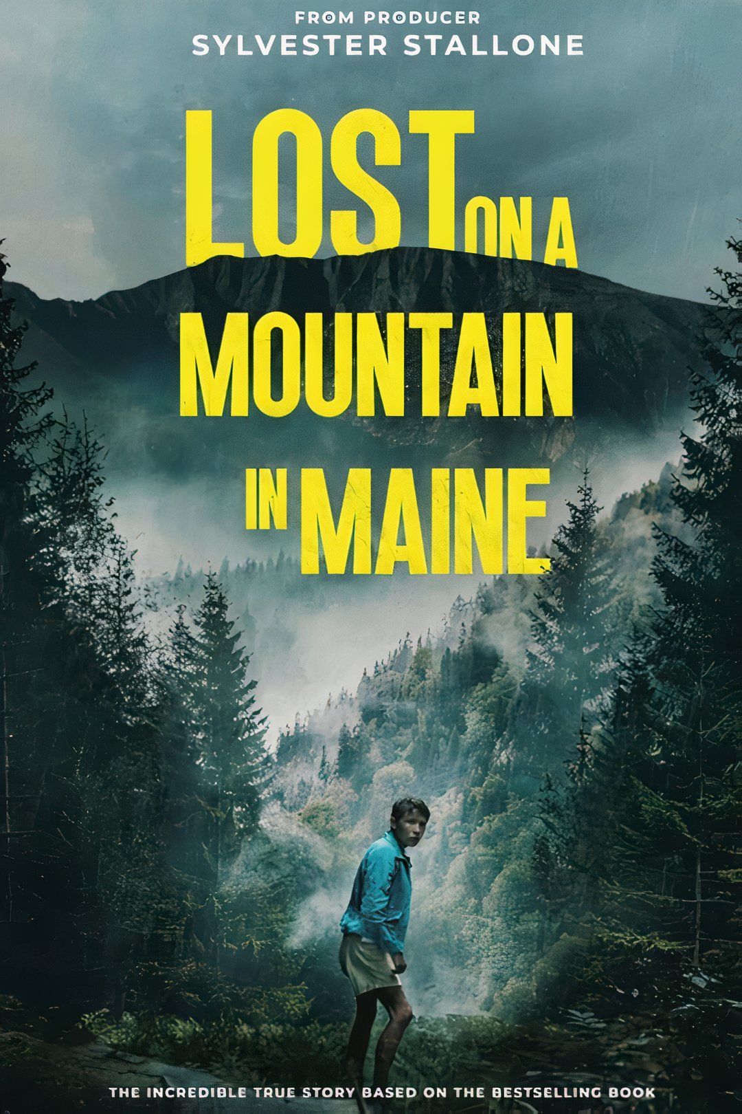 Lost on a Mountain in Maine movie poster