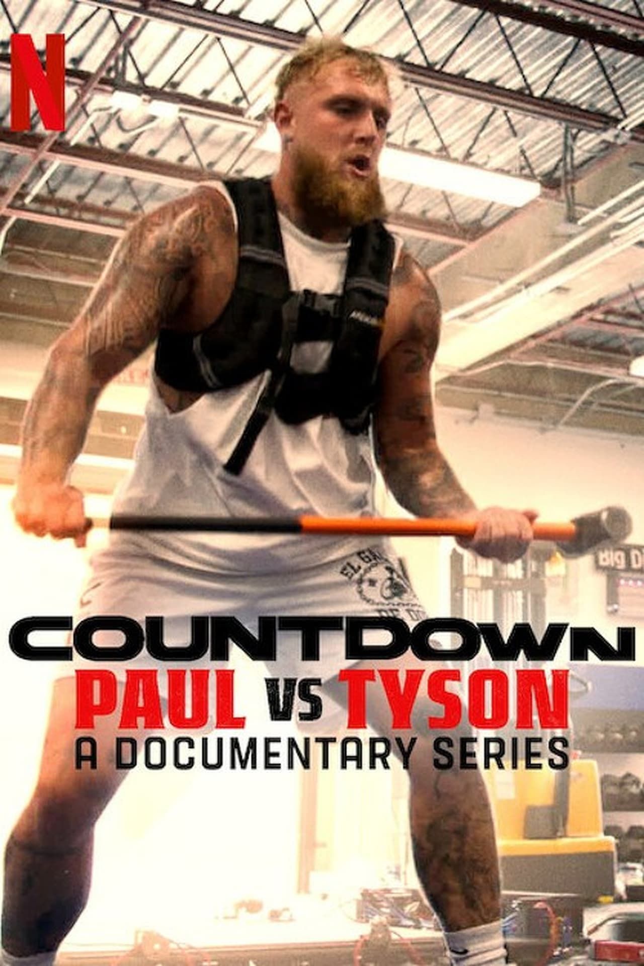 Póster Paul vs Tyson.jpg