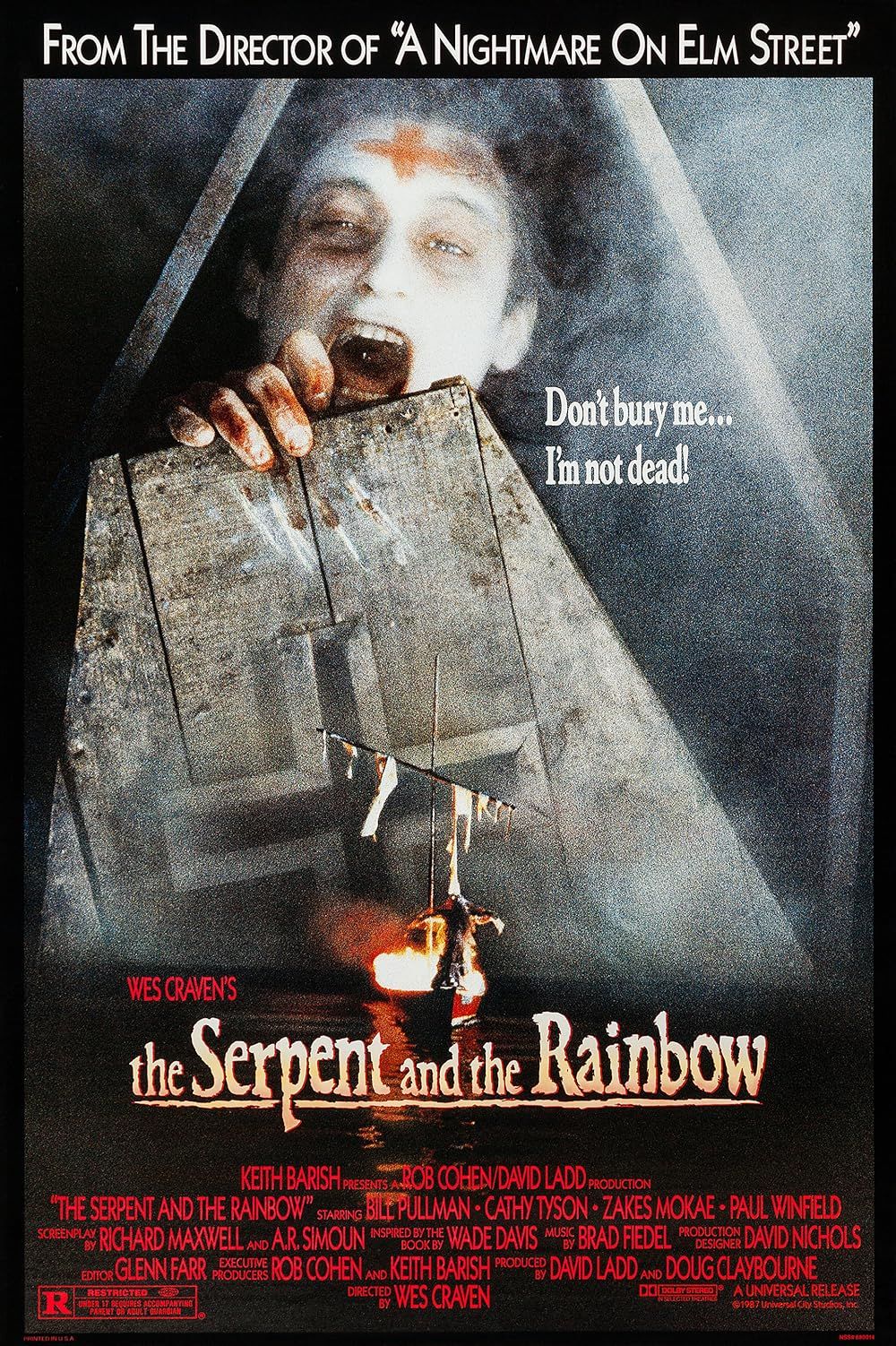 the-serpent-and-the-rainbow.jpg