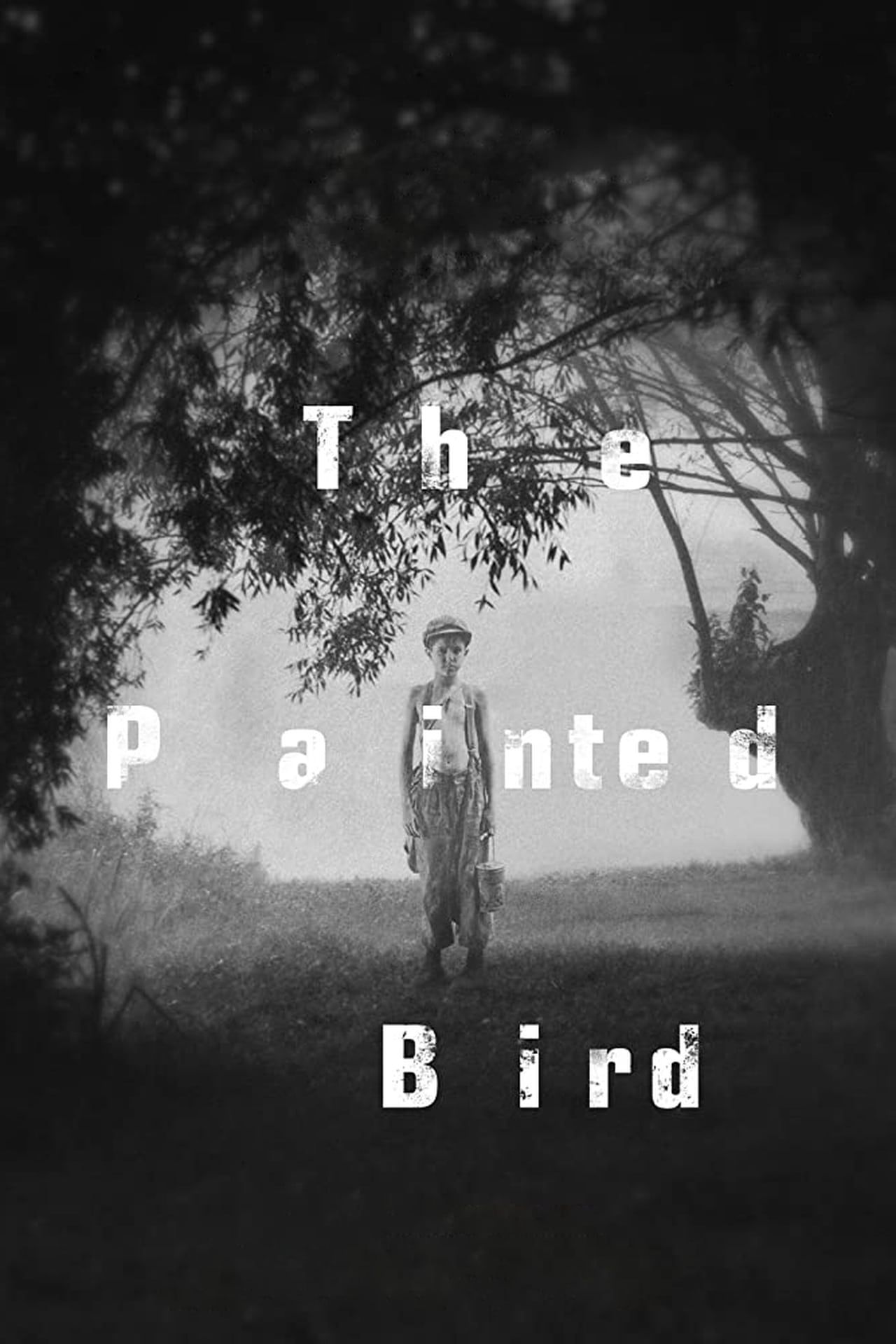 the-painted-bird-poster.jpg