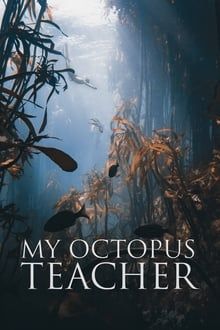 my-octopus-teacher-film-poster.jpg