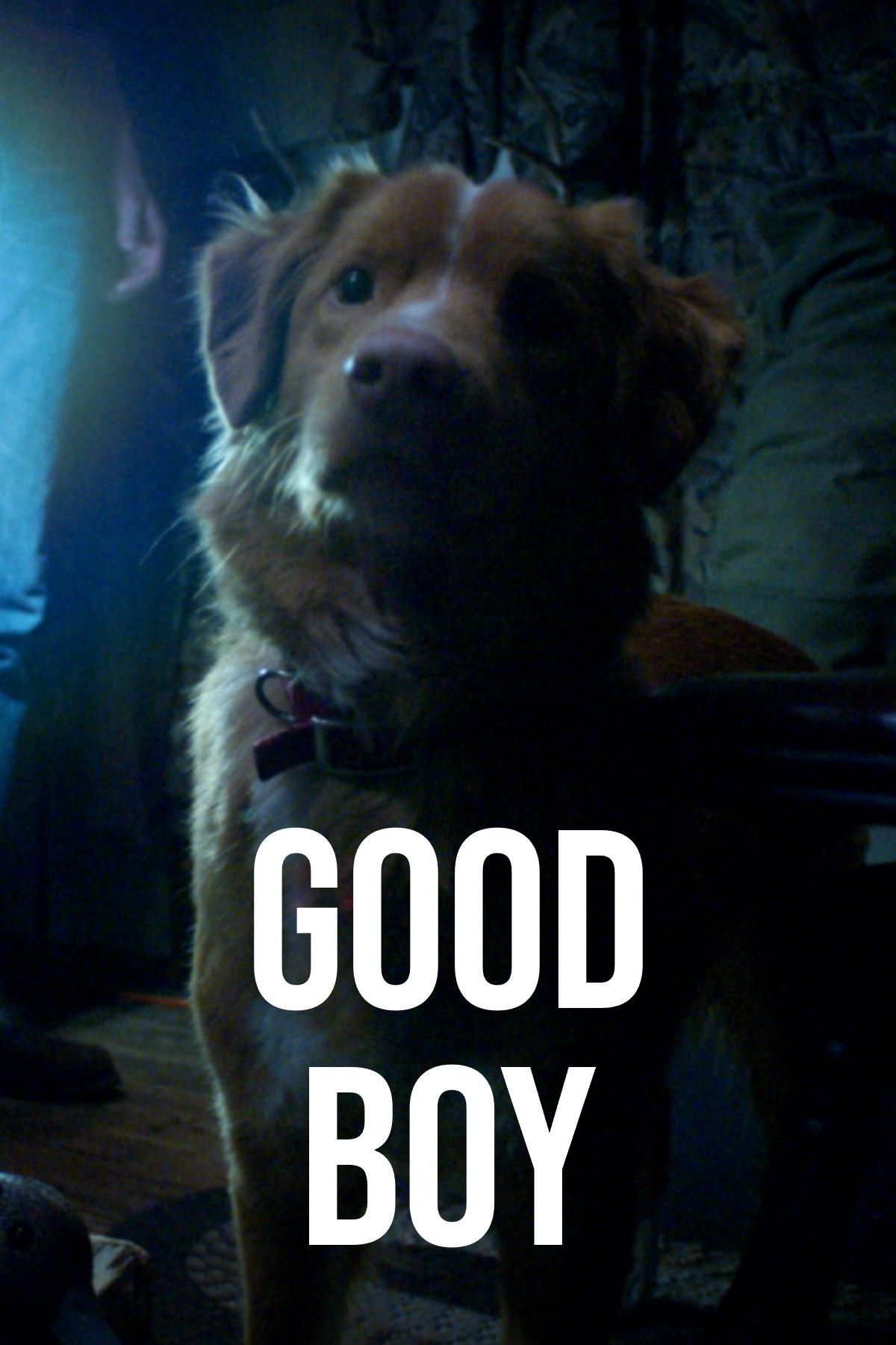 good-boy-placeholder-poster.jpg