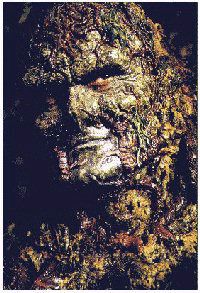 swamp_thing_the_series_image
