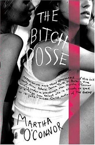 the-bitch-posse-book-cover