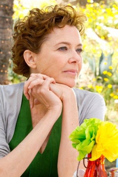 the face of love annette bening