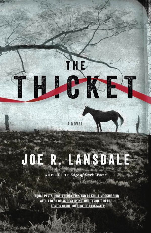 the-thicket-joe-landsdale