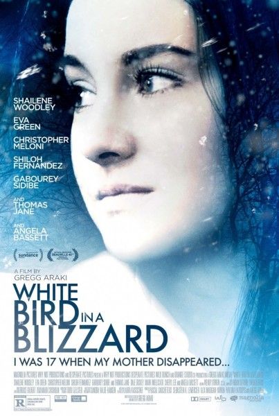 white-bird-in-a-blizzard-poster