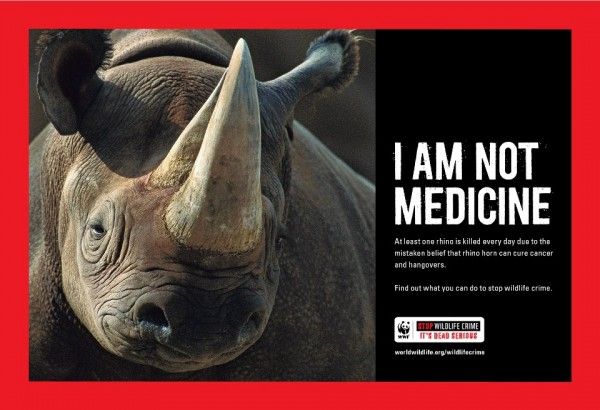 world-wildlife-fund-campaign-poster