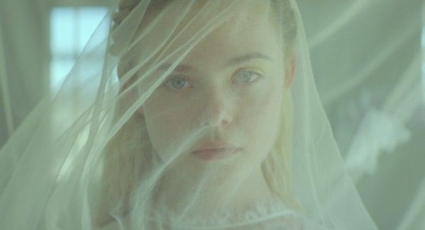 young-ones-elle-fanning-2
